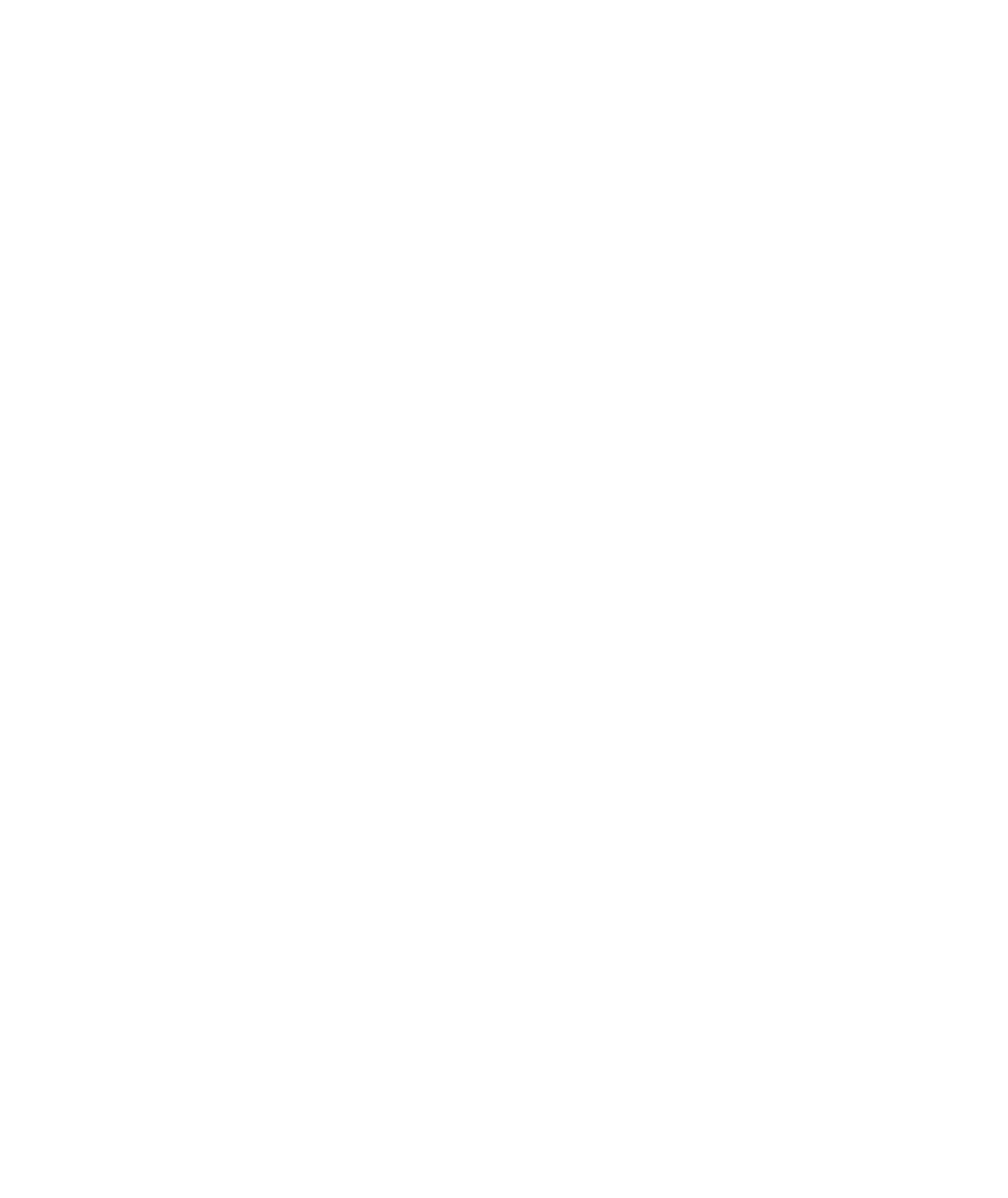 Zenith Immobilier d'entreprise